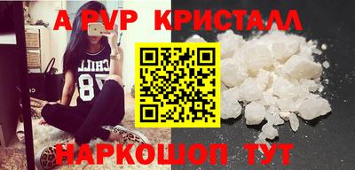 бошки Кингисепп