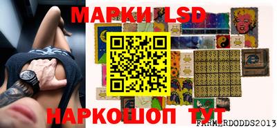 бошки Кингисепп