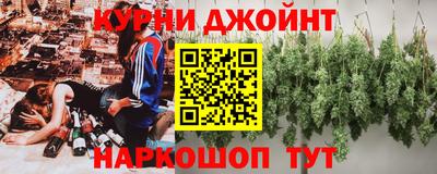 бошки Кингисепп