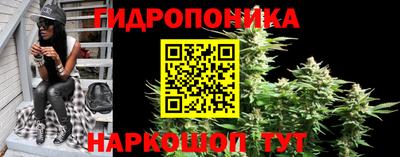 кокс Кинель