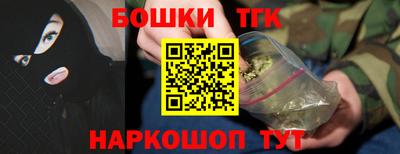 бошки Кингисепп
