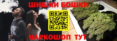 бошки Кингисепп