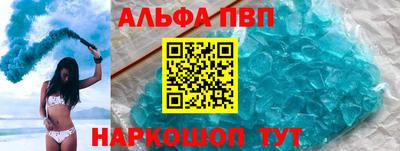 бошки Кингисепп