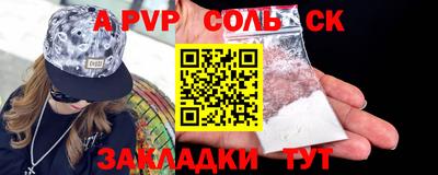 бошки Кингисепп