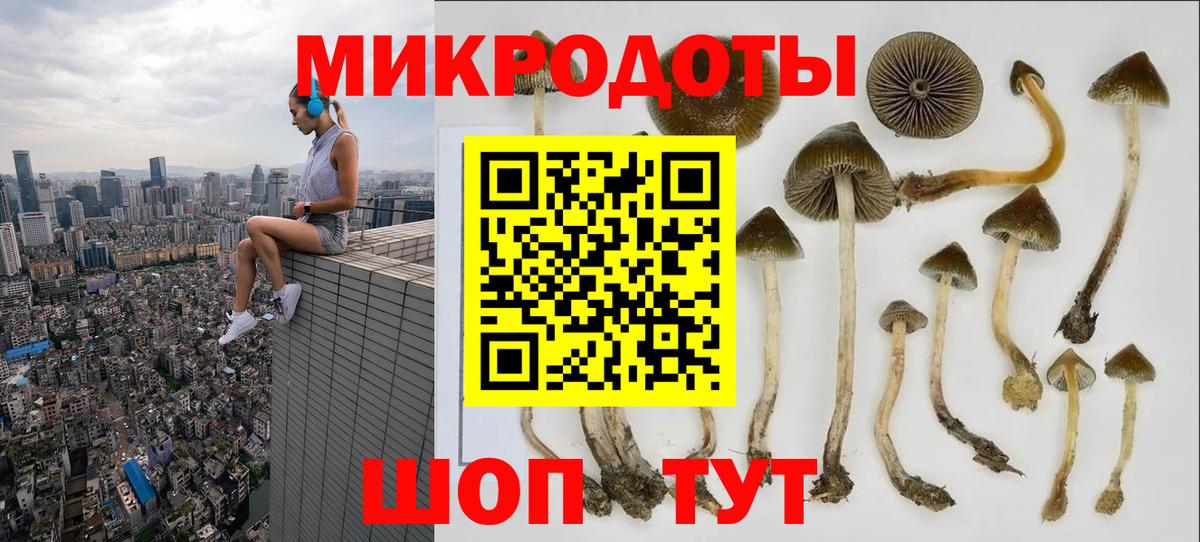 Галлюциногенные грибы ЛСД Геленджик