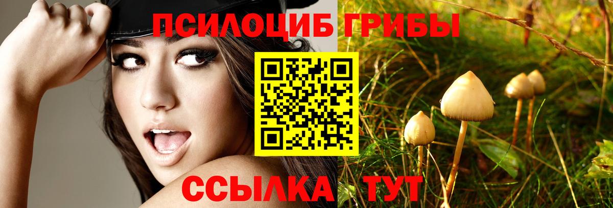 Псилоцибиновые грибы мухоморы  Вход с VPN  наркошоп  Галлюциногенные грибы MAGIC MUSHROOMS  Геленджик 